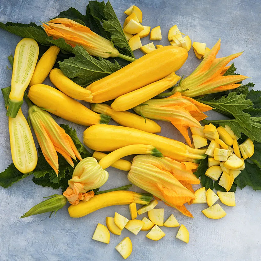 Summer Squash Zucchini Golden image 0