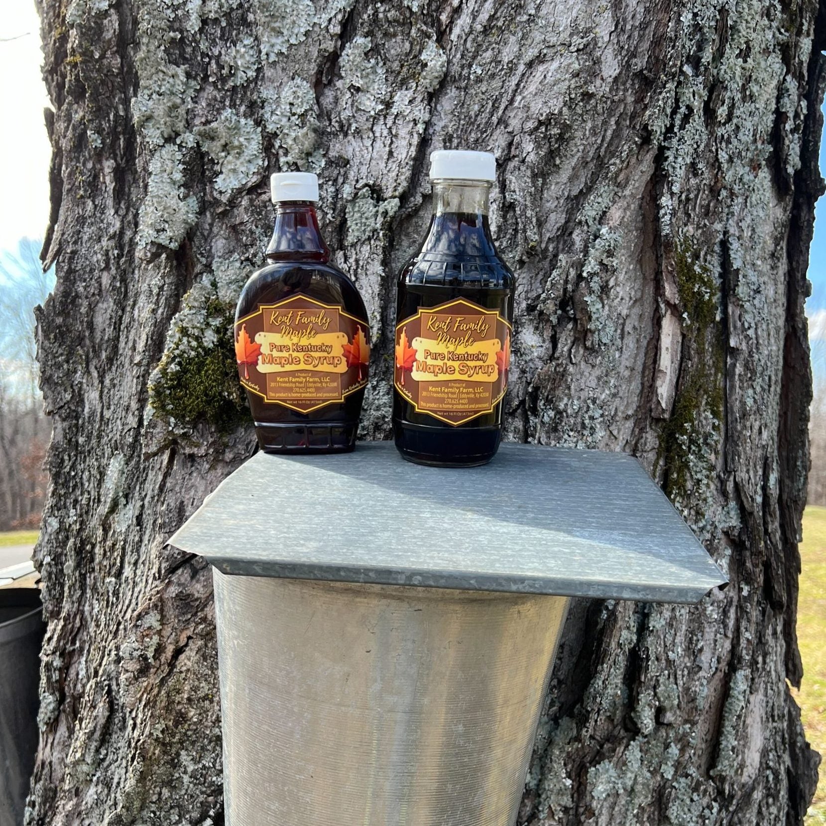Kentucky 100% Pure Maple Syrup image 0