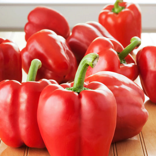Bell pepper Red