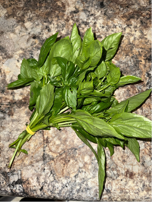Basil