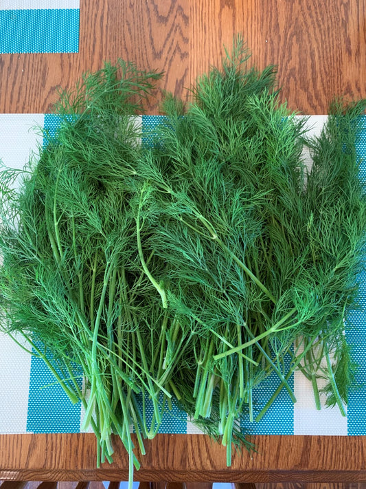 Dill (Mammoth) image 0