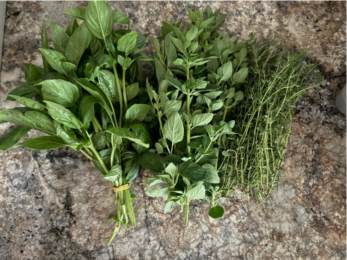 Bunch of fresh green herbs on a stone surface
