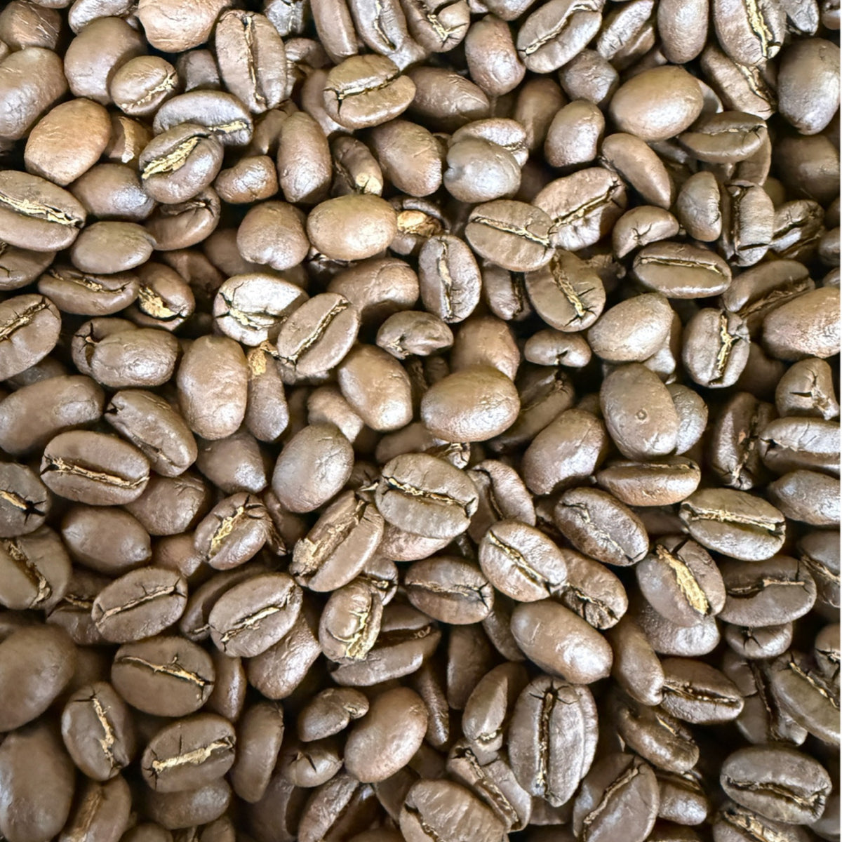 Nicaragua Las Segovias – Washed, Medium Roast